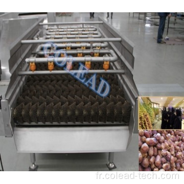 Saudi Palm Dates Wet Brush Washing Machine